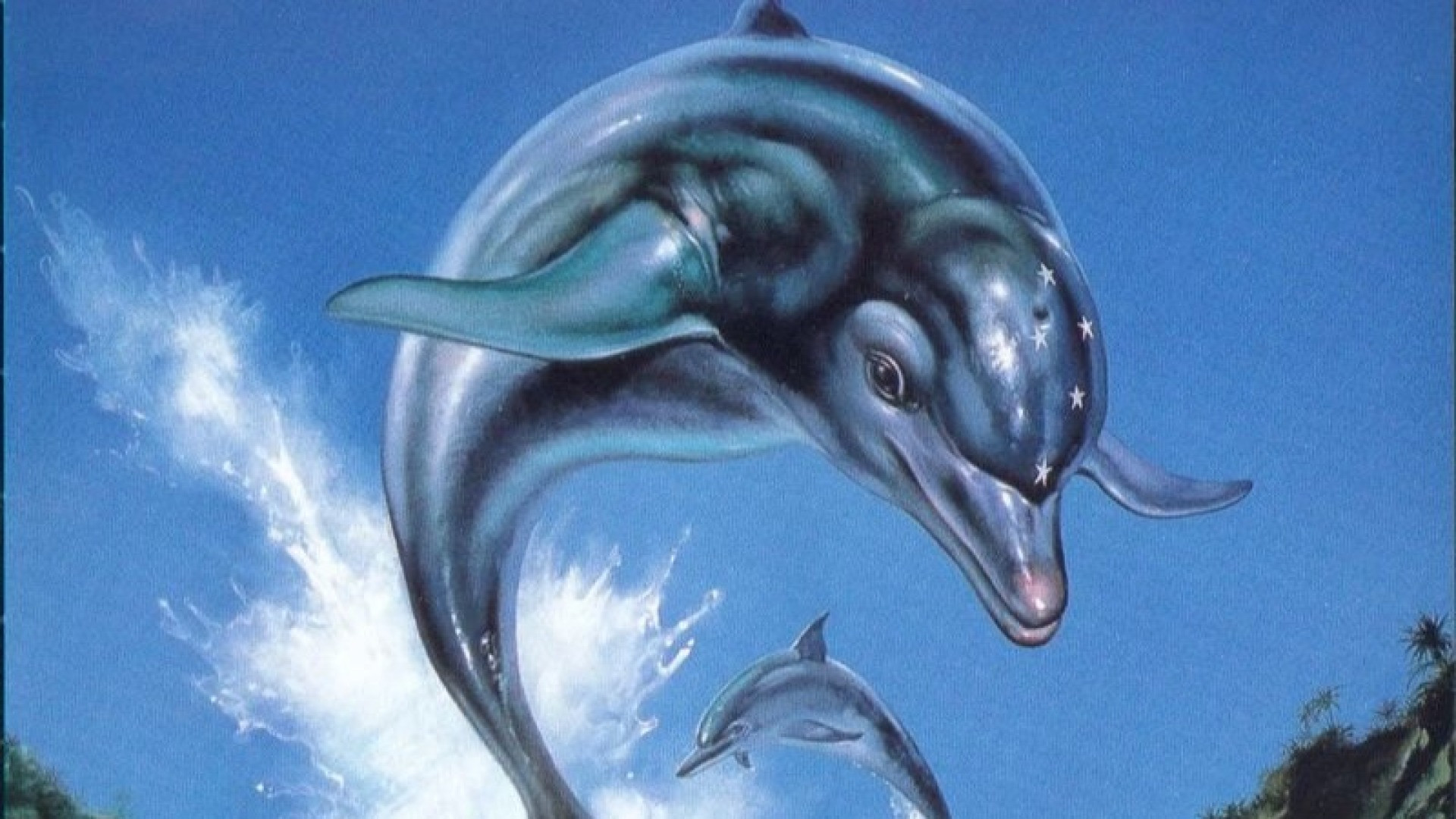 Ecco The Dolphin