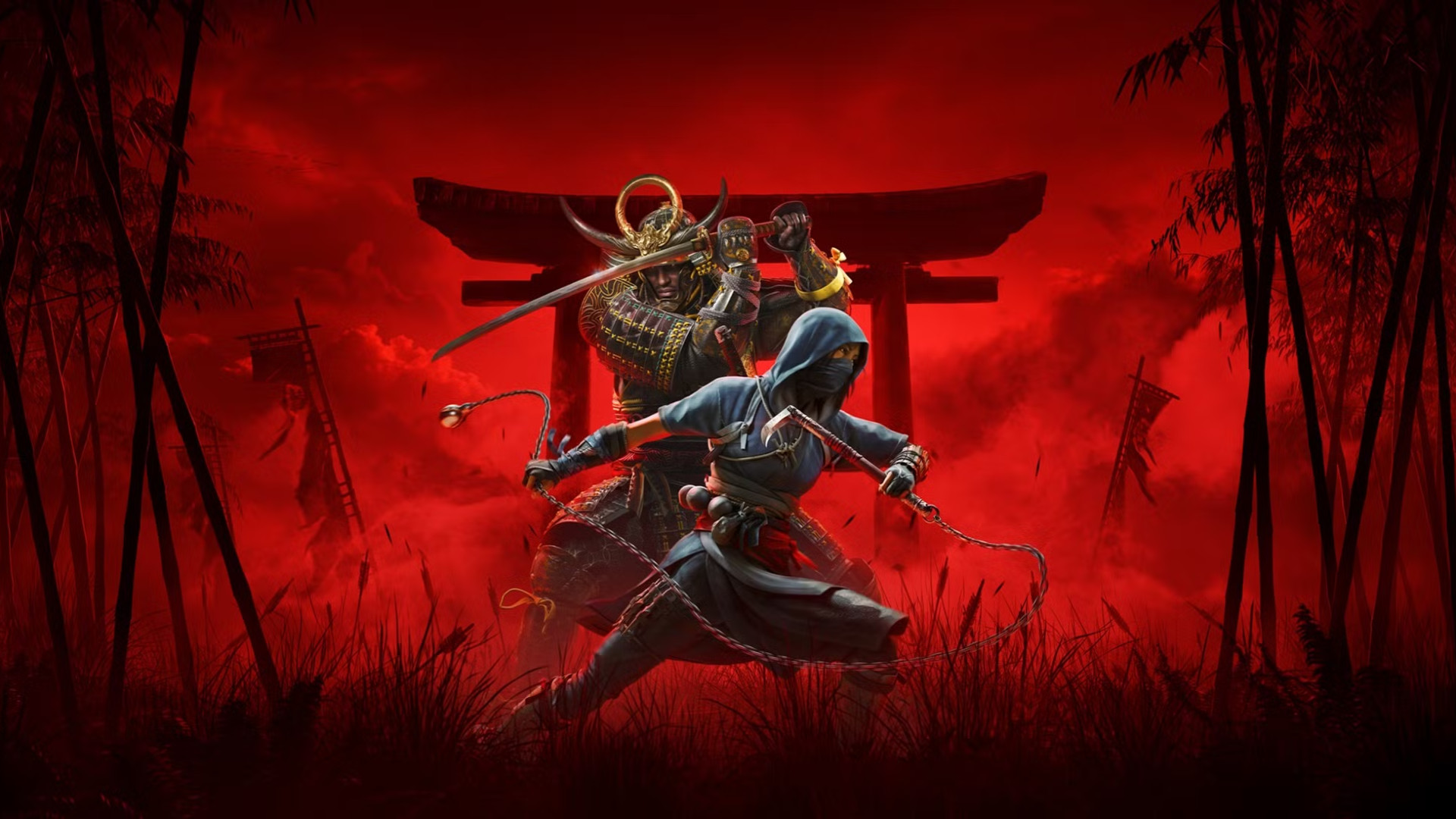 Assassin's Creed Shadows coop