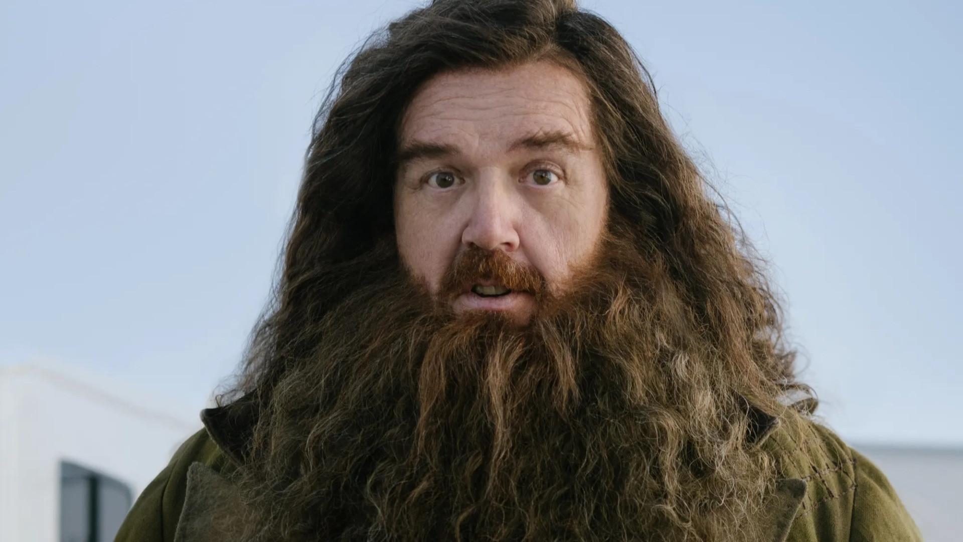 Hagrid Série Harry Potter