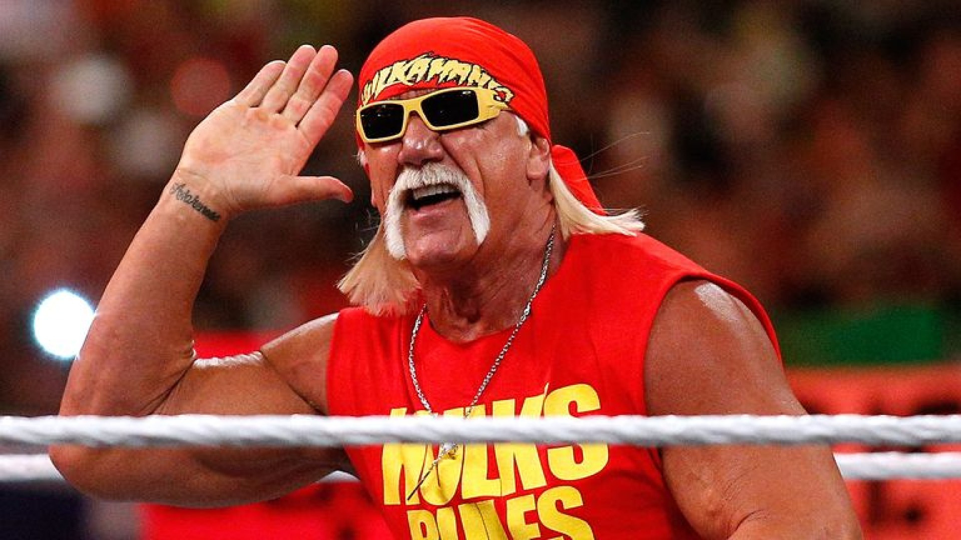 Hulk Hogan morte
