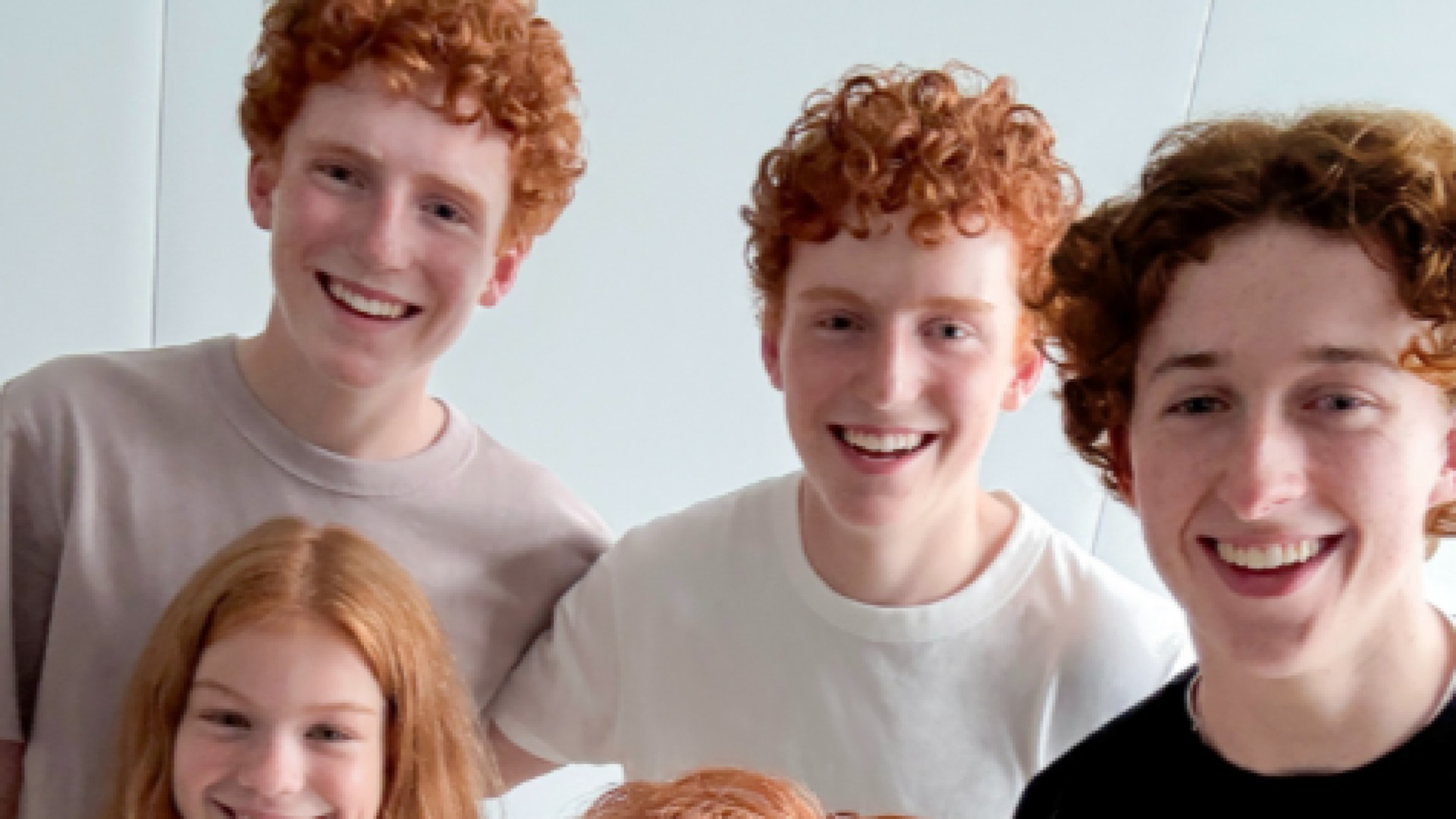 Família Weasly Harry Potter série