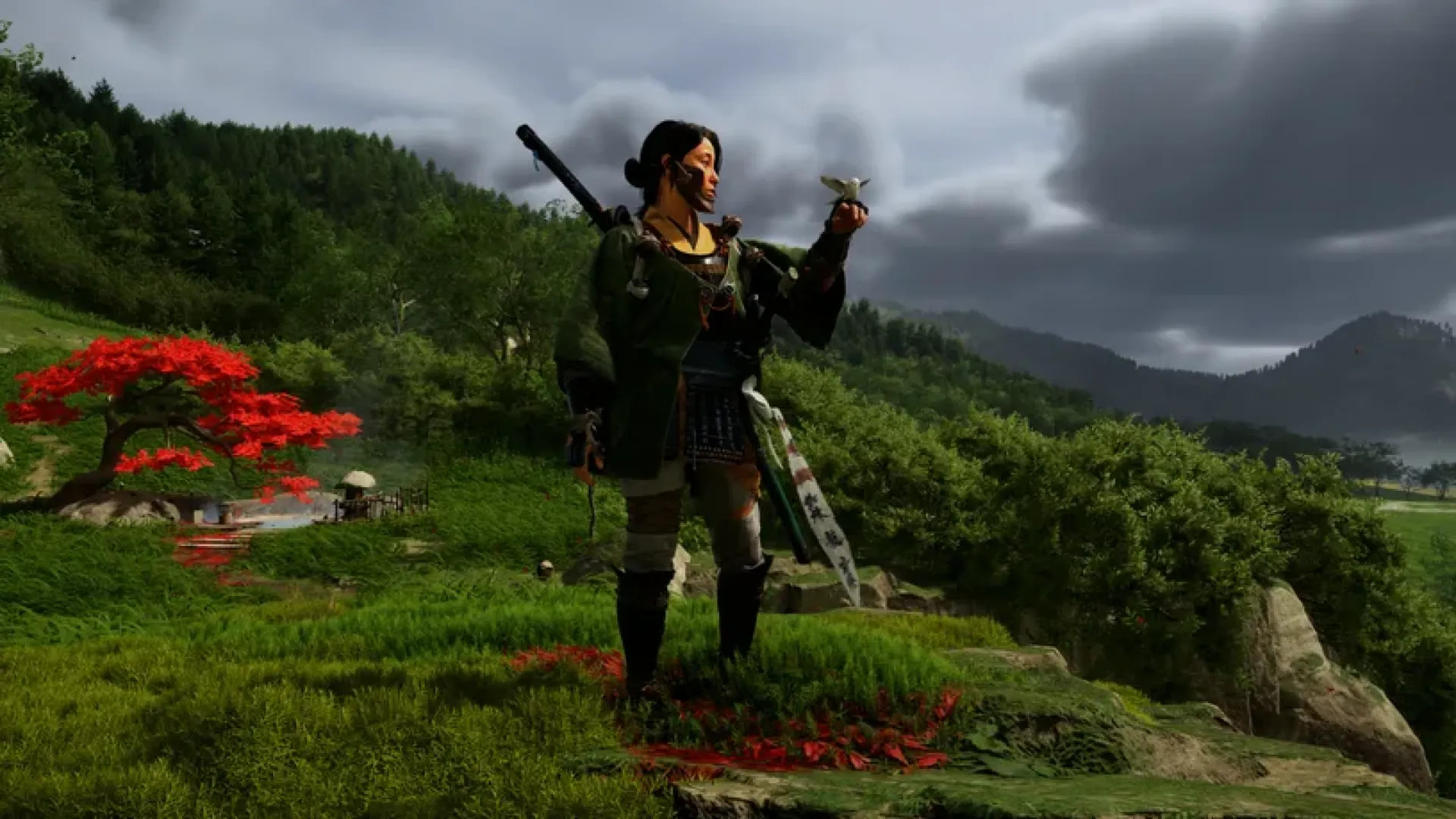 Patch gratuito dia 24 de novembro