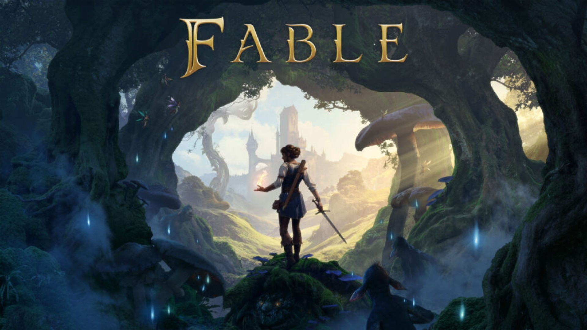 Fable Playground Games Data