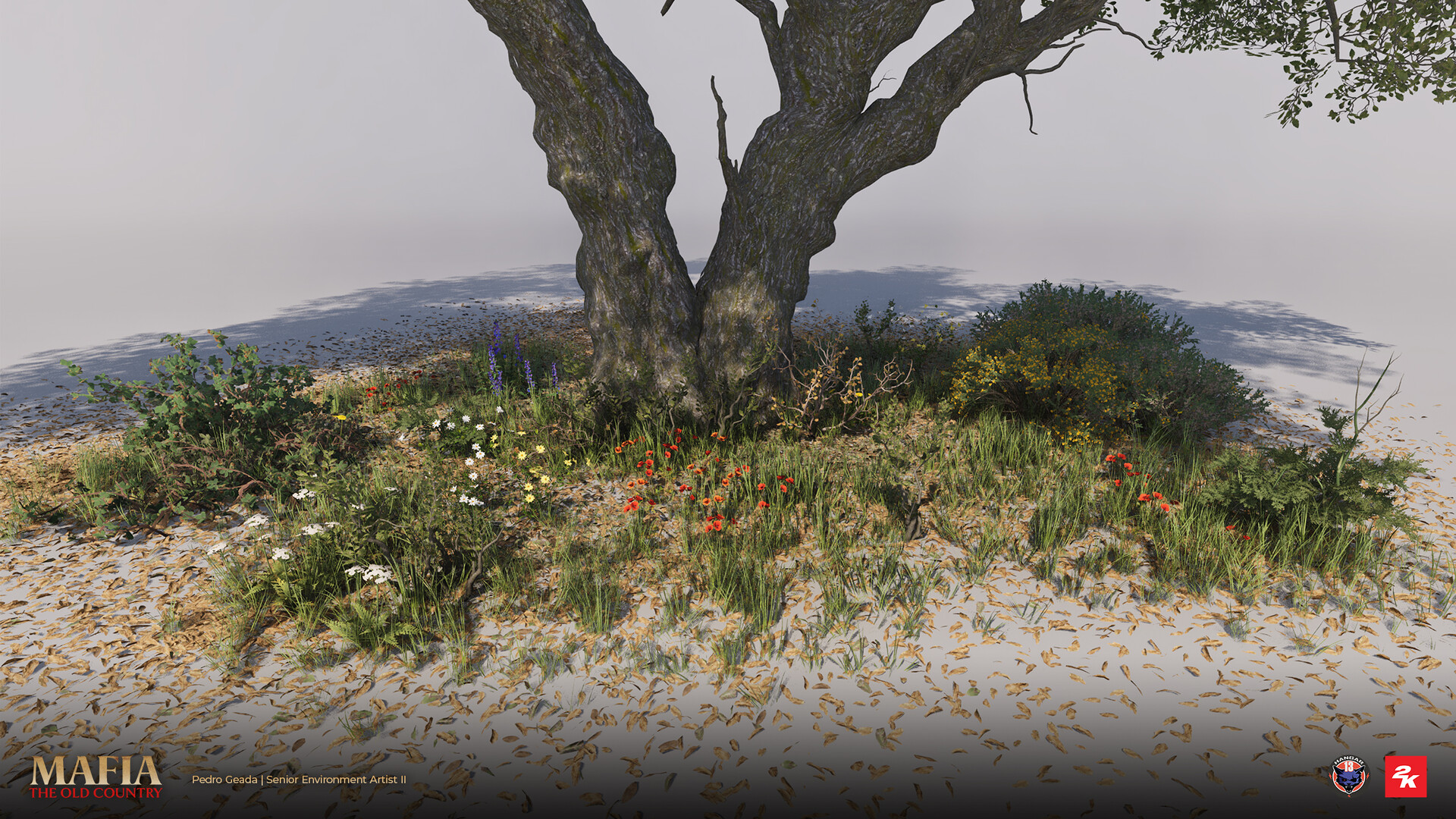 Pedro Geada Mafia The Old Country