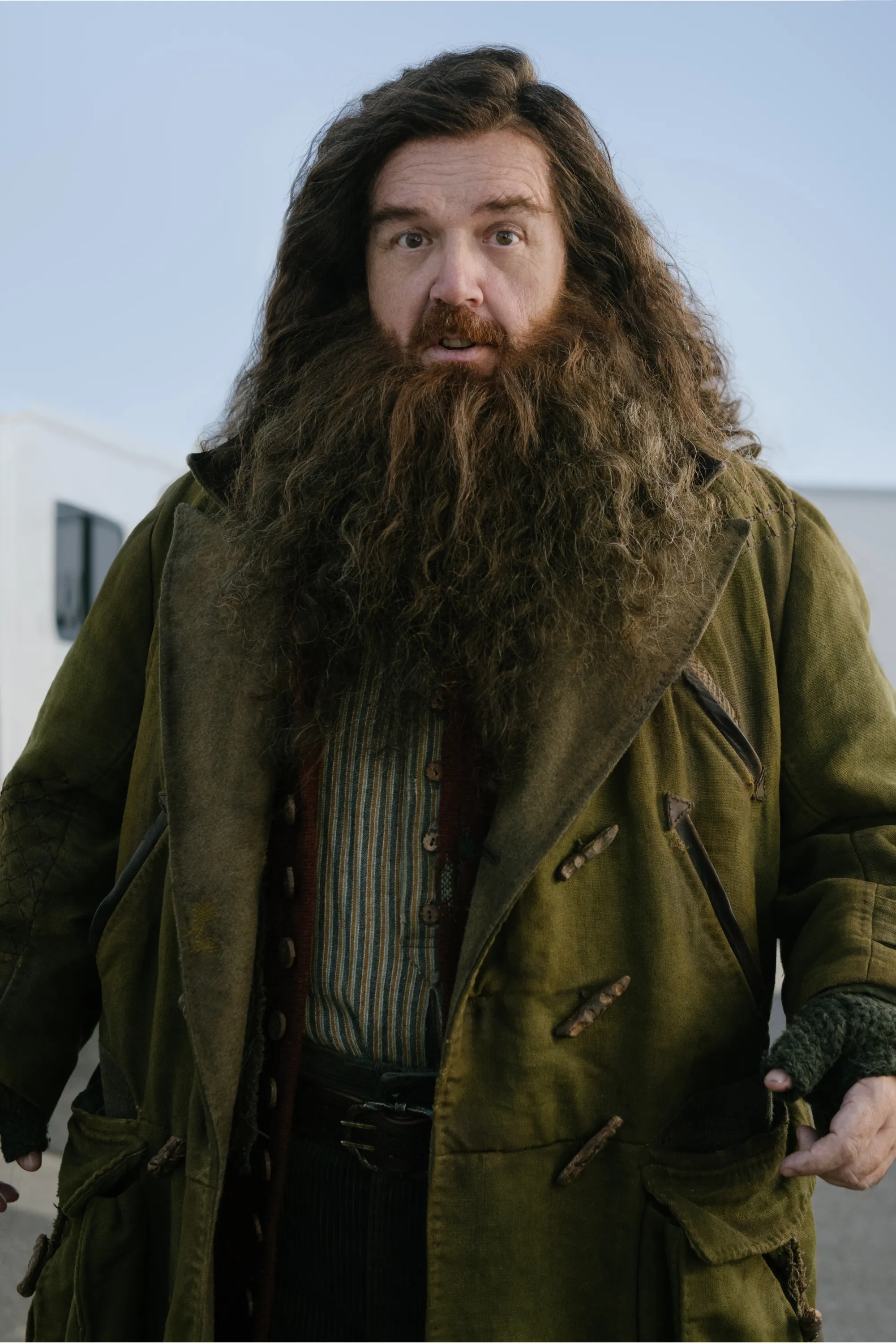 Hagrid Nick Frost